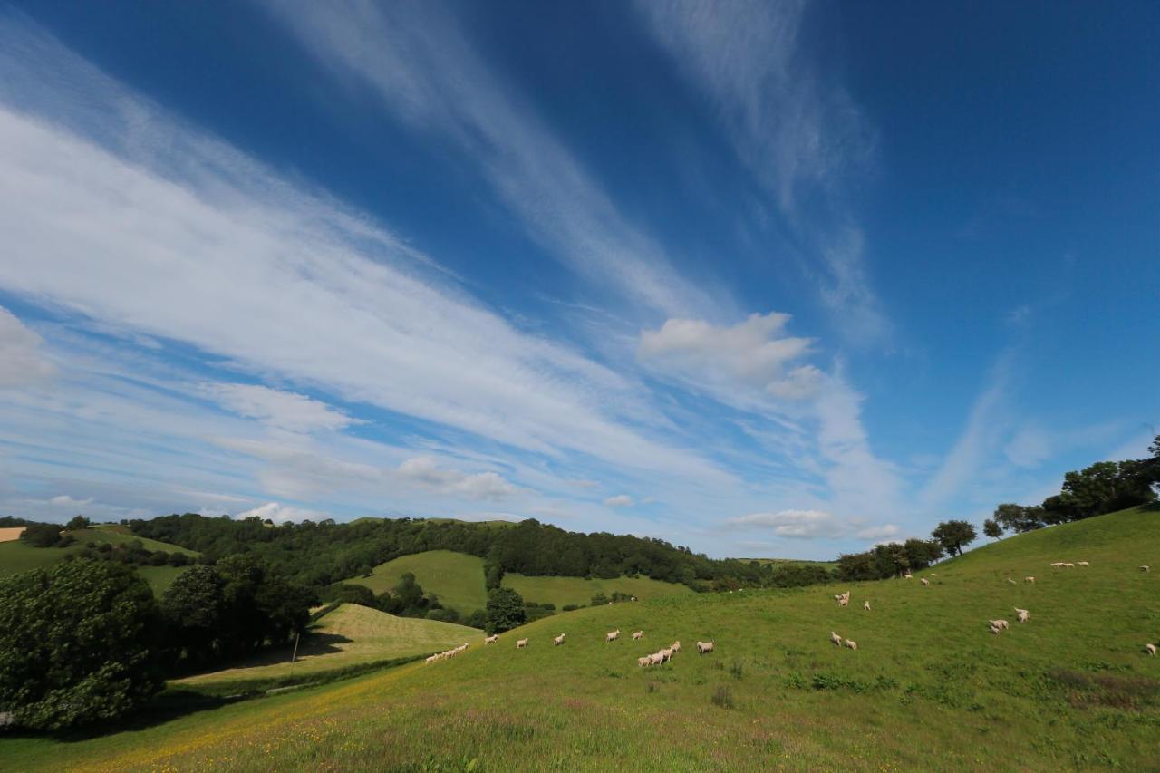 Upper Gelli Luxury Holiday Lodge, Converted Dairy & Cosy Shepherds Huts เวลช์พูล ภายนอก รูปภาพ