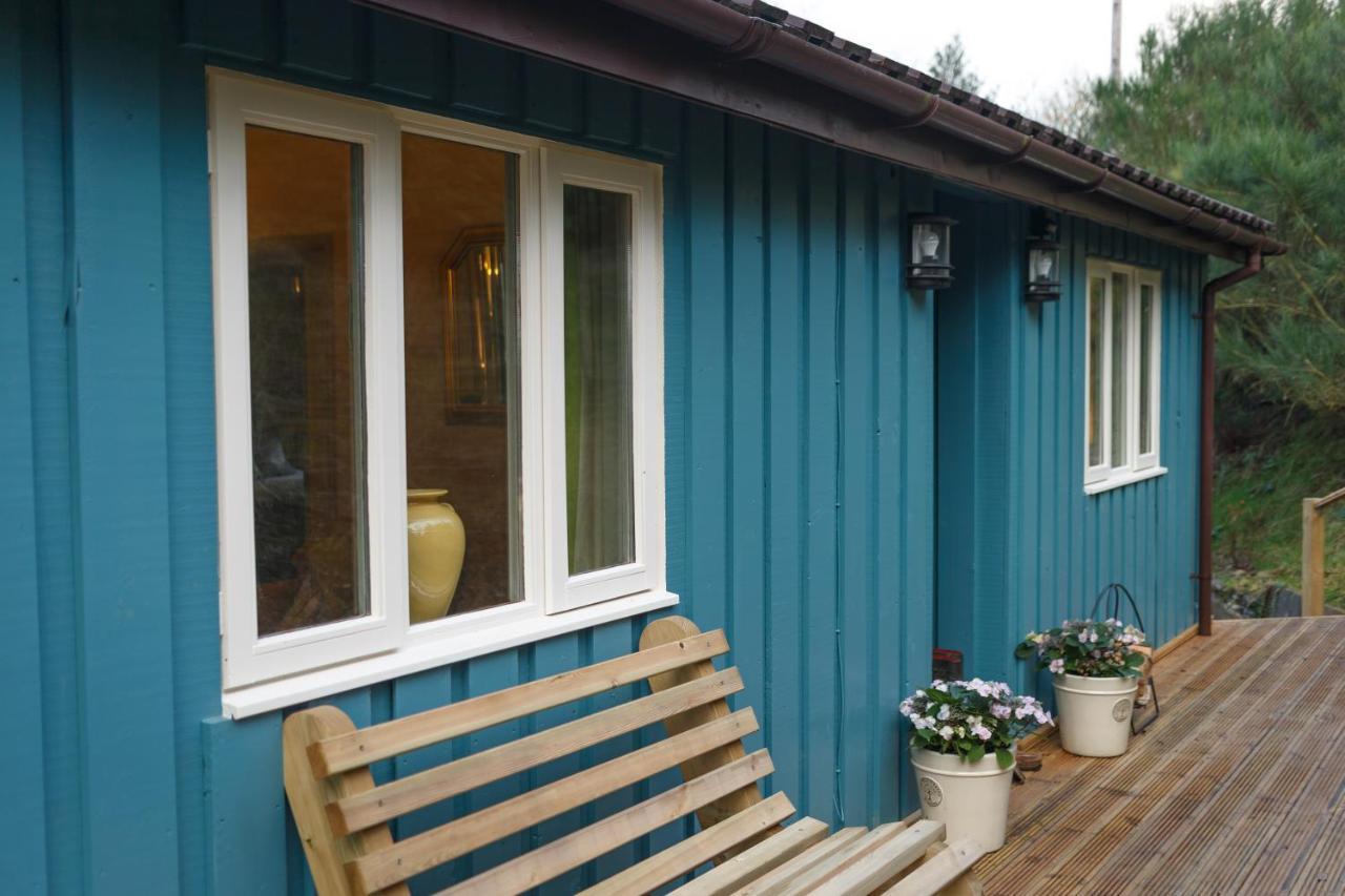 Upper Gelli Luxury Holiday Lodge, Converted Dairy & Cosy Shepherds Huts เวลช์พูล ภายนอก รูปภาพ